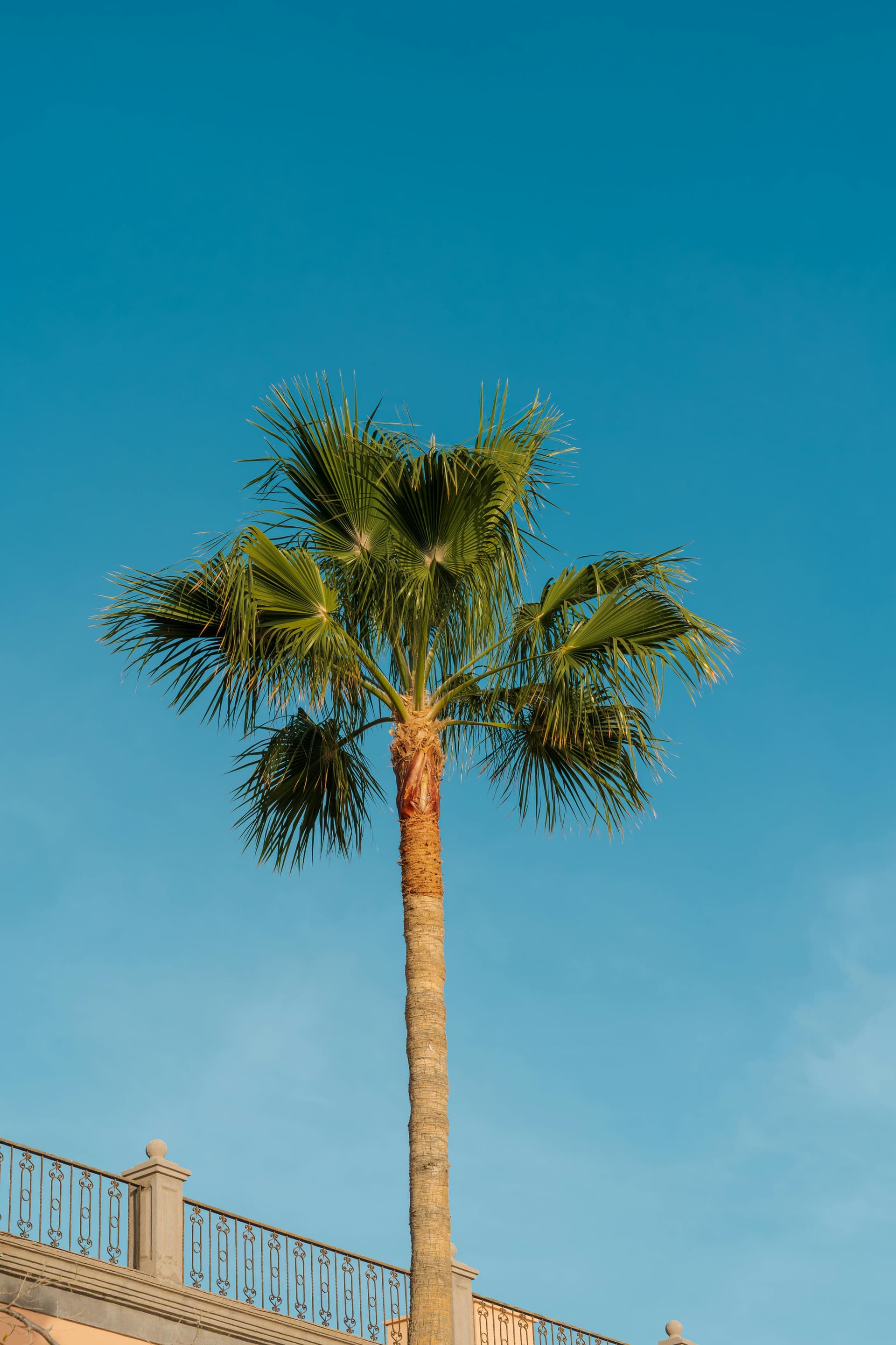 The power of authentic storytelling in brand campaigns