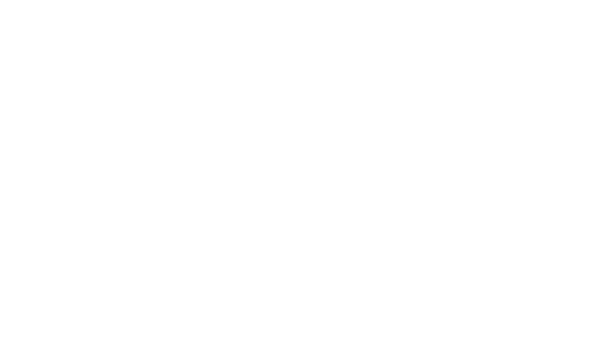 Fashion Fest