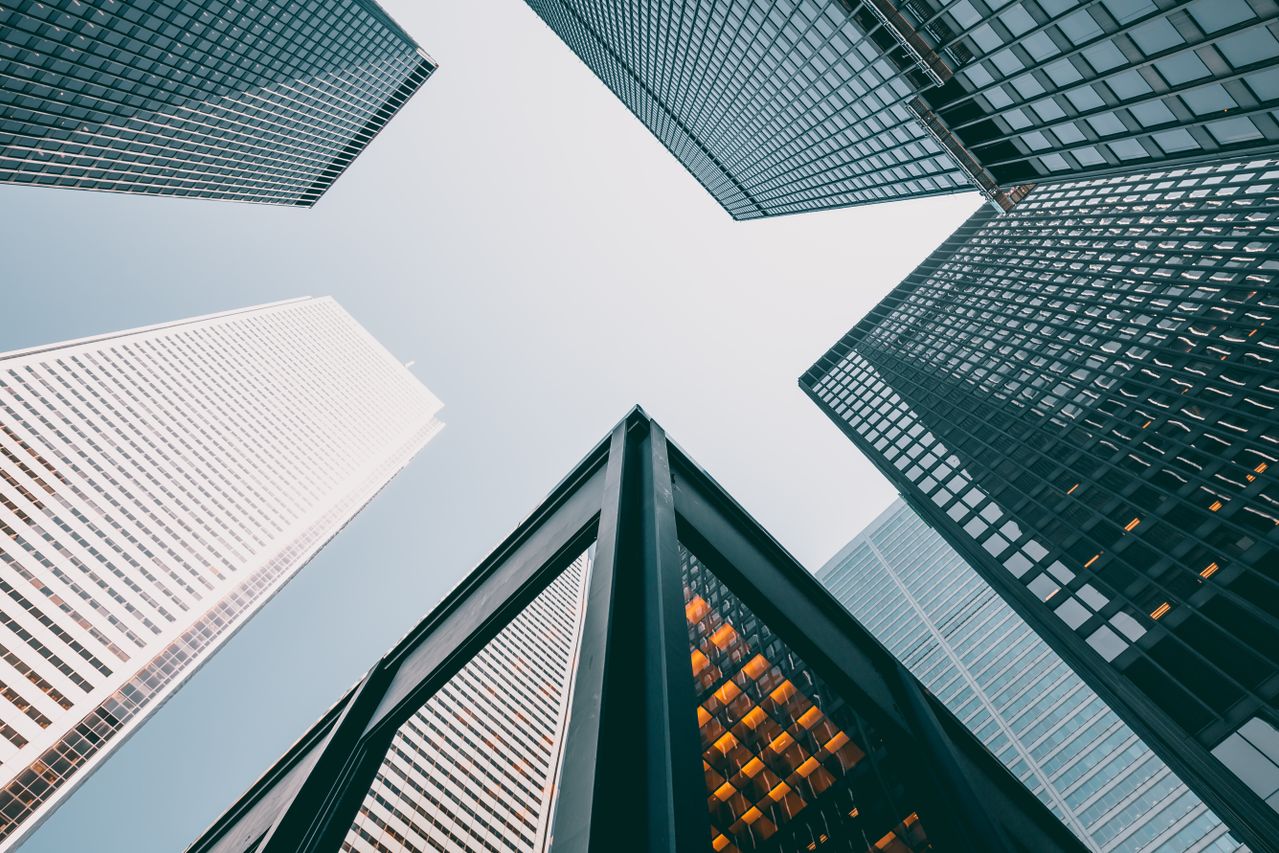 Proposed functions for organisations